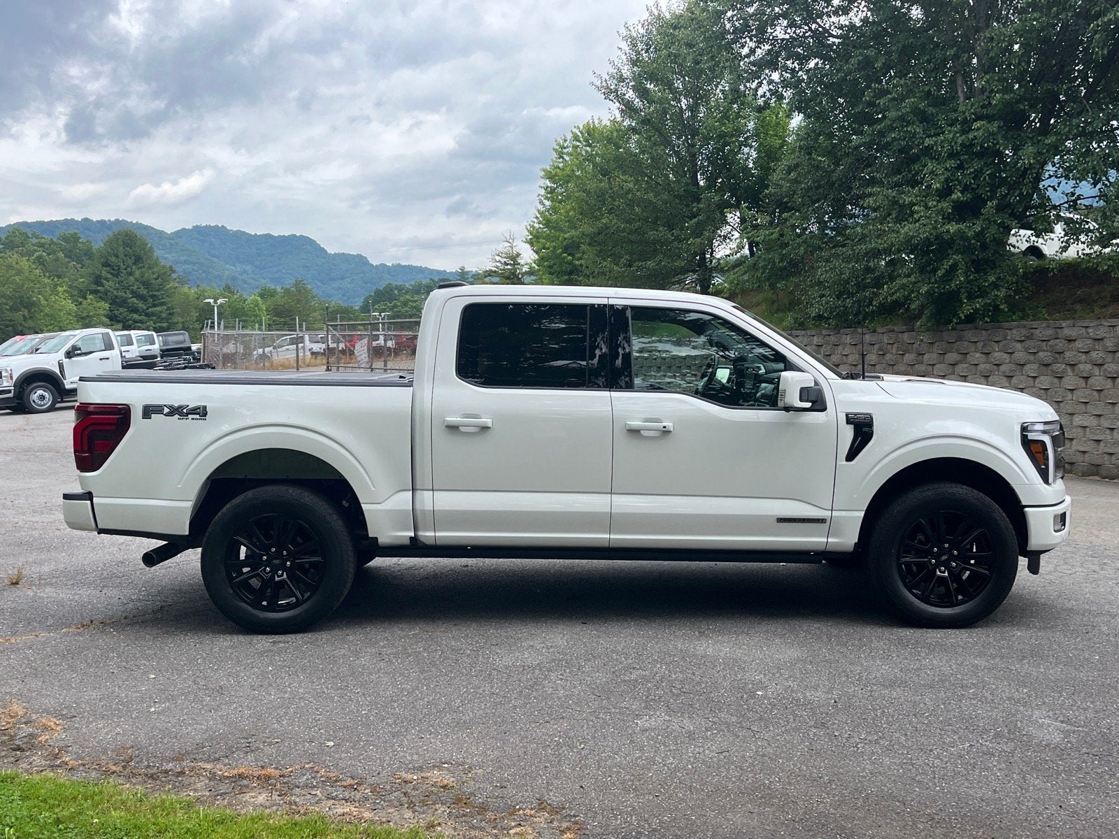 2025 Ford F-150 Platinum