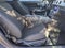 2023 Ford Mustang GT