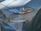 2023 Ford Mustang GT