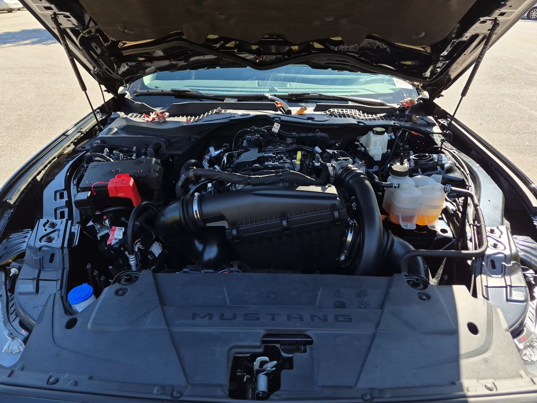 2025 Ford Mustang EcoBoost Premium