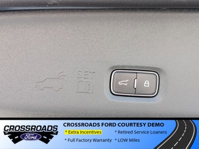 2026 Ford Expedition Active - Crossroads Courtesy Demo