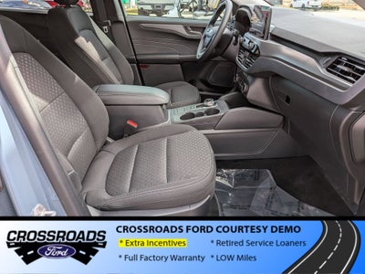 2025 Ford Escape Active - Crossroads Courtesy Demo