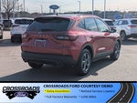 2025 Ford Escape ST-Line - Crossroads Courtesy Demo