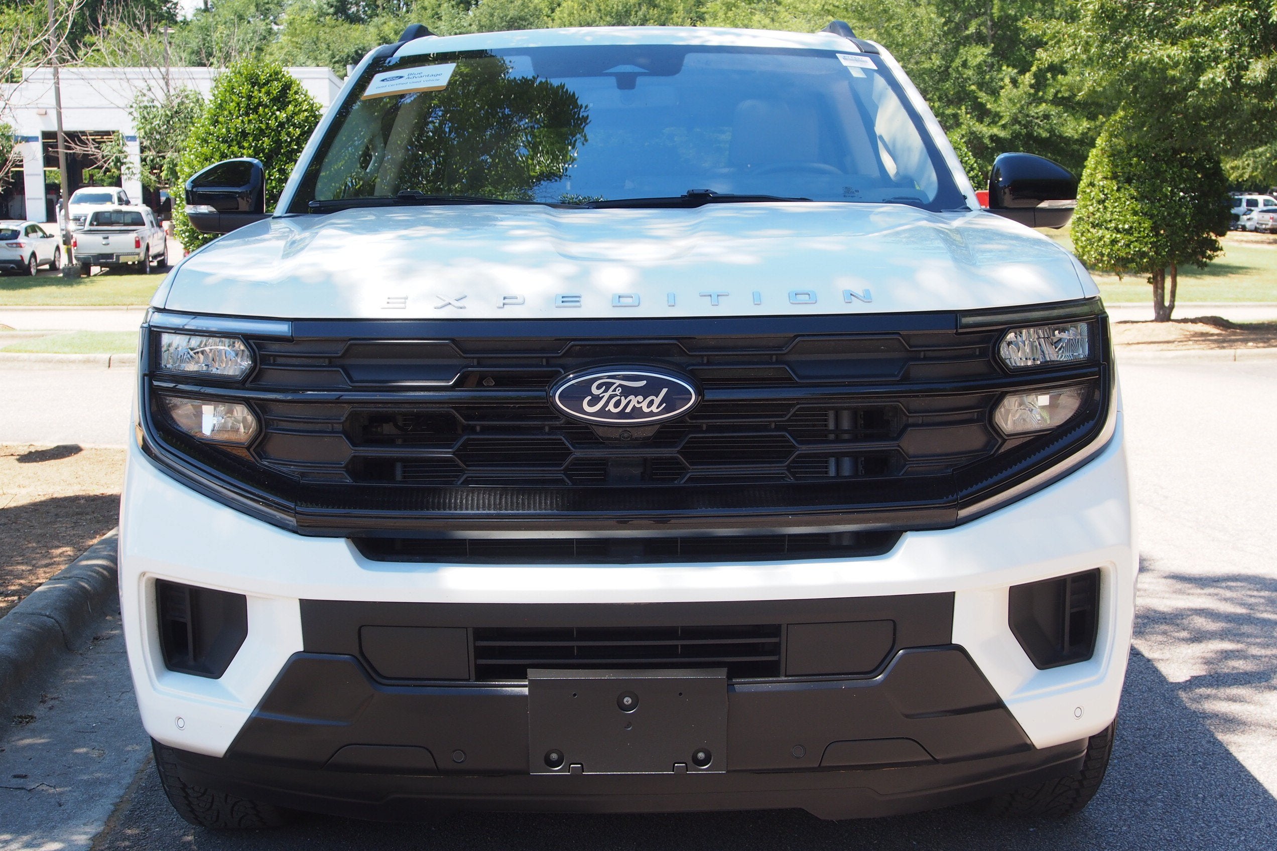 2025 Ford Expedition Active
