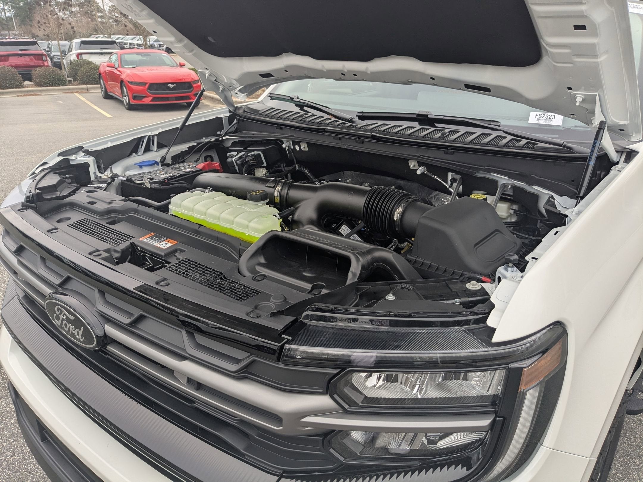 2025 Ford Expedition Tremor