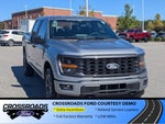 2025 Ford F-150 STX - Crossroads Courtesy Demo