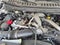 2024 Ford Super Duty F-350 SRW XLT