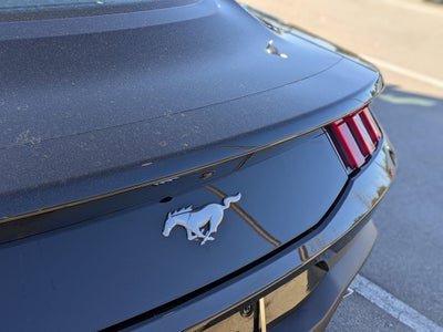 2024 Ford Mustang EcoBoost