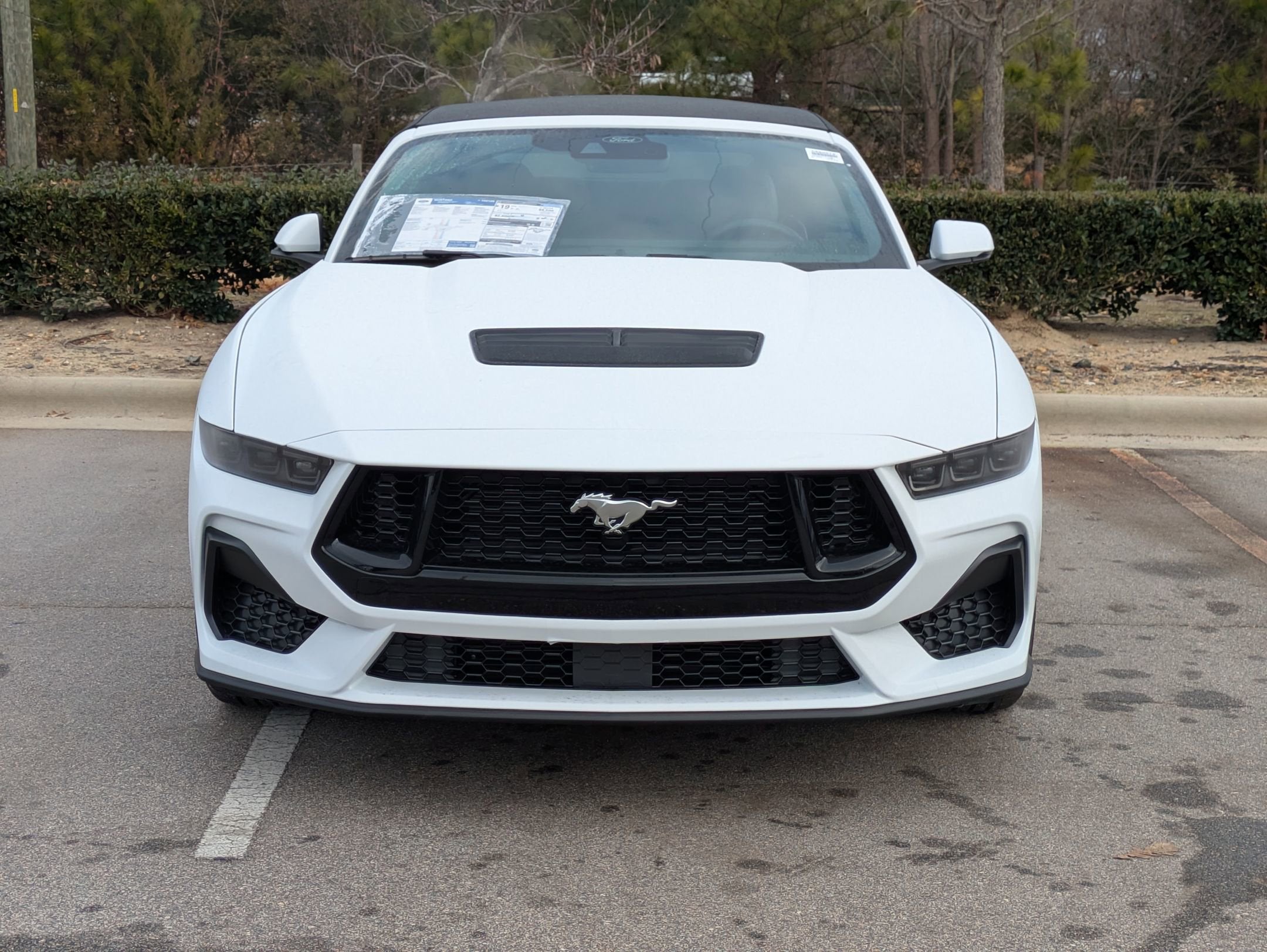 2026 Ford Mustang GT Premium