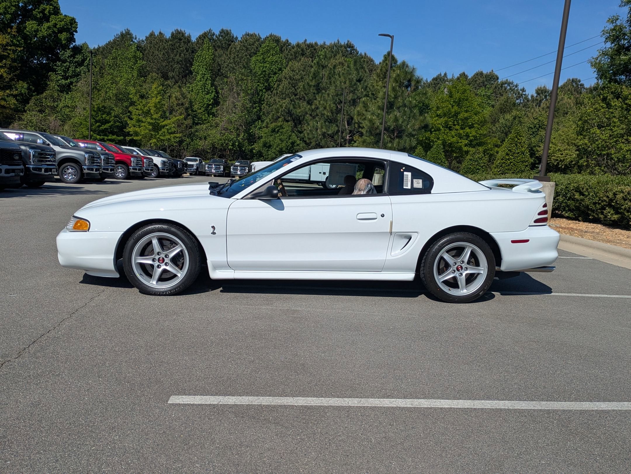 1995 Ford Mustang SVT Cobra R