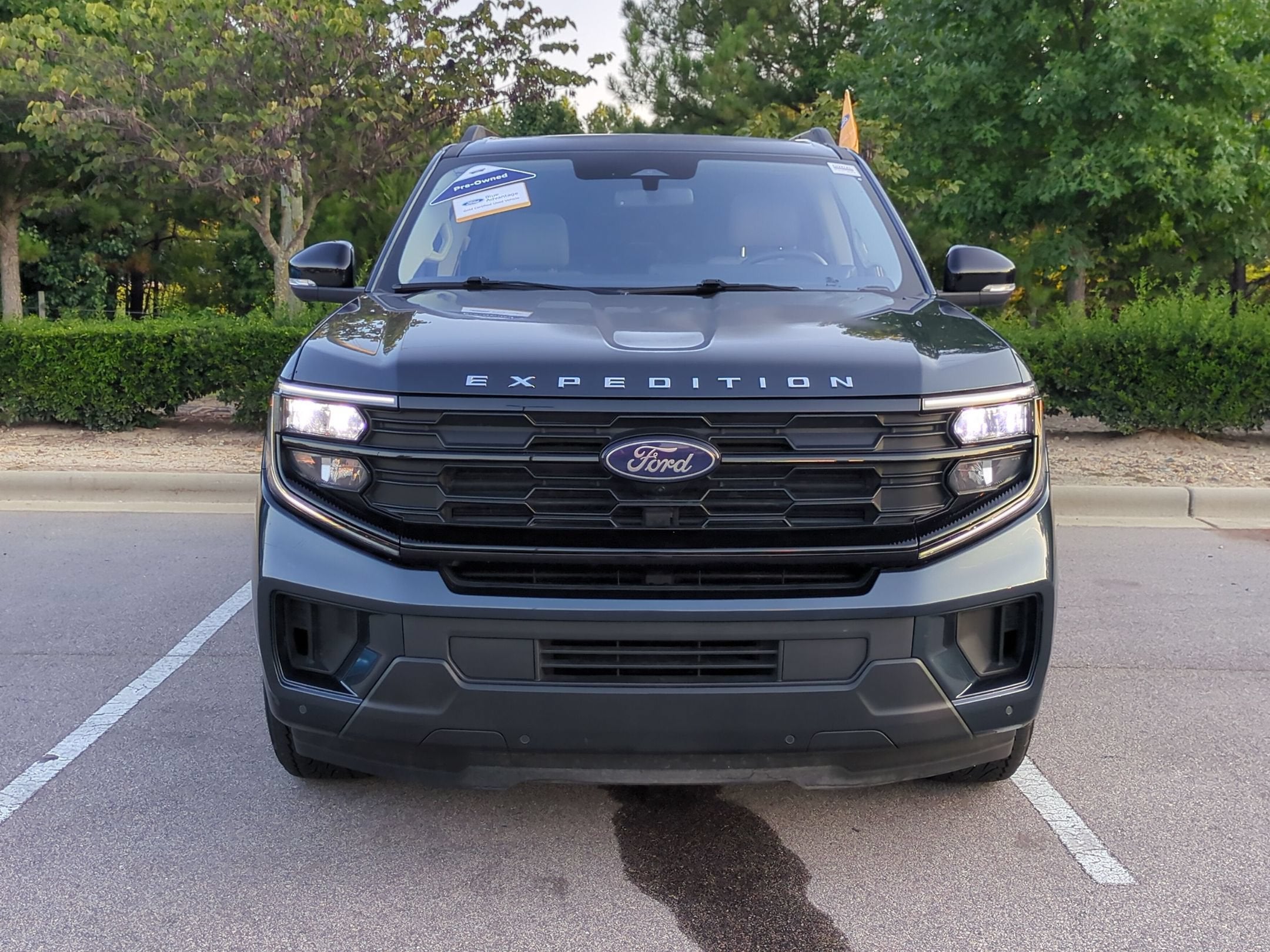 2025 Ford Expedition Active