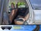 2025 Ford Bronco Sport Outer Banks - Crossroads Courtesy Demo