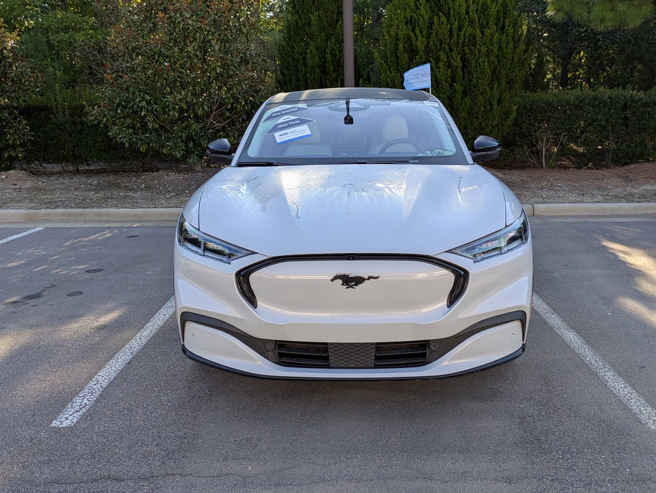 2022 Ford Mustang Mach-E Premium
