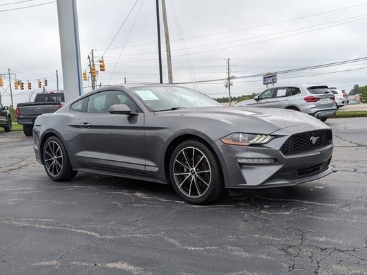 2022 Ford Mustang EcoBoost Premium in Apex, NC, NC - Crossroads Cars