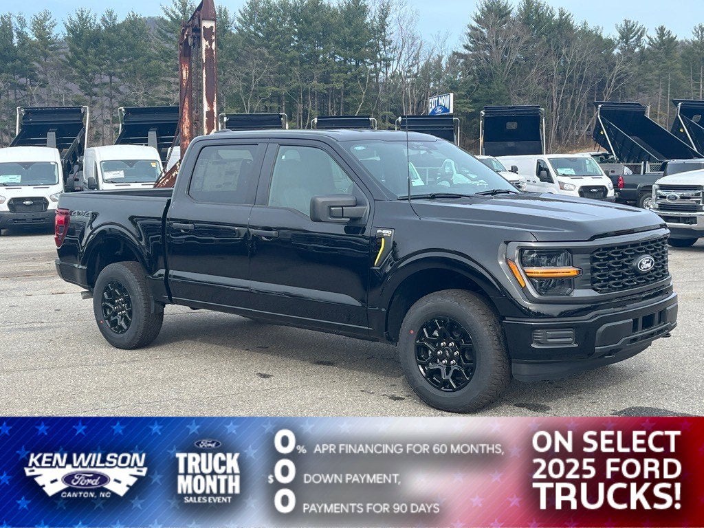 2025 Ford F-150 STX